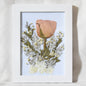 Framing Services