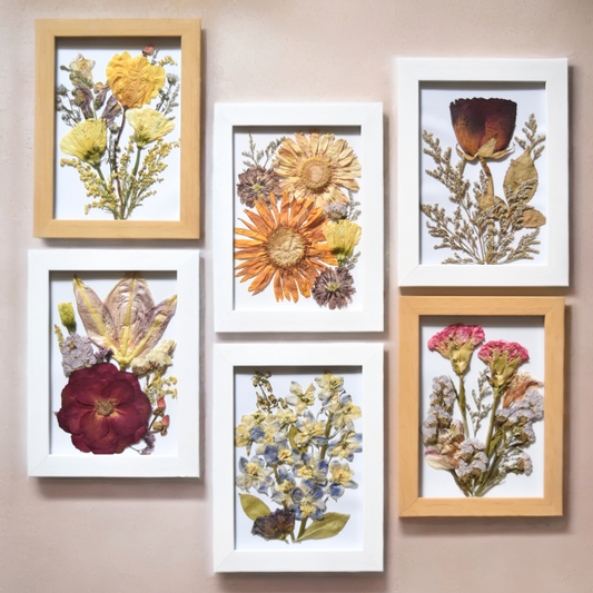 Mini Frame