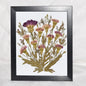 Framing Services